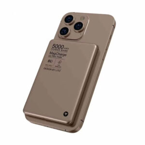 PowerBank Çeşitleri